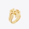 Anello Icon