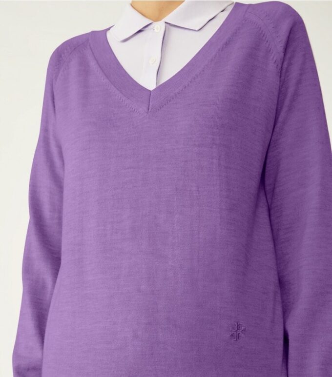 Maglione con scollo a V in lana merino Maglione con scollo a V in lana merino