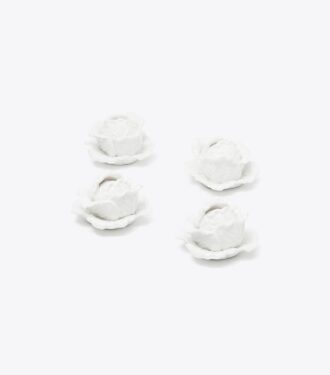 Portacarte Lettuce Ware, set da 4