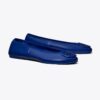 Reva Travel Ballet