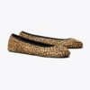 Reva Travel Ballet