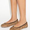 Reva Travel Ballet