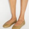 Reva Travel Ballet