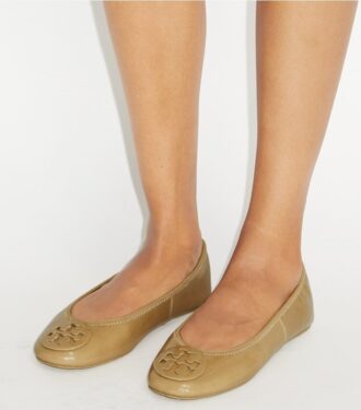 Reva Travel Ballet