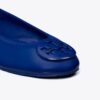 Reva Travel Ballet