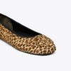 Reva Travel Ballet