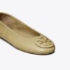 Reva Travel Ballet