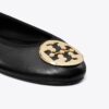 Reva Travel Ballet