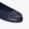 Reva Travel Ballet