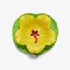 Set di ciotola e piatto Lily Pad Set di ciotola e piatto Lily Pad