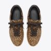 Sneaker Phoenix Sneaker Phoenix
