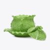 Zuppiera con coperchio Lettuce Ware